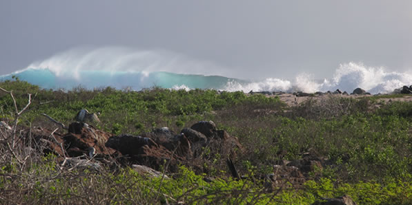 wave